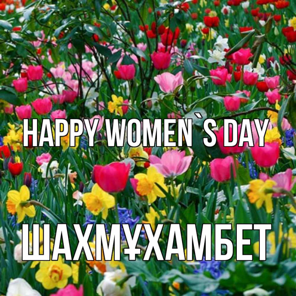 Greetings card с именем, ШАХМҰХАМБЕТ happy women`s day с международным женским днем поздравления для женщины Greetings with text for free download 